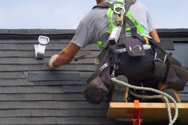 Best Roof Moss and Algae Removal  in Colquitt, GA